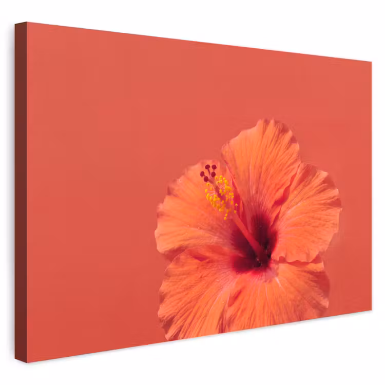 Buiten canvas - Bloemen - Oranje - Natuur — 1