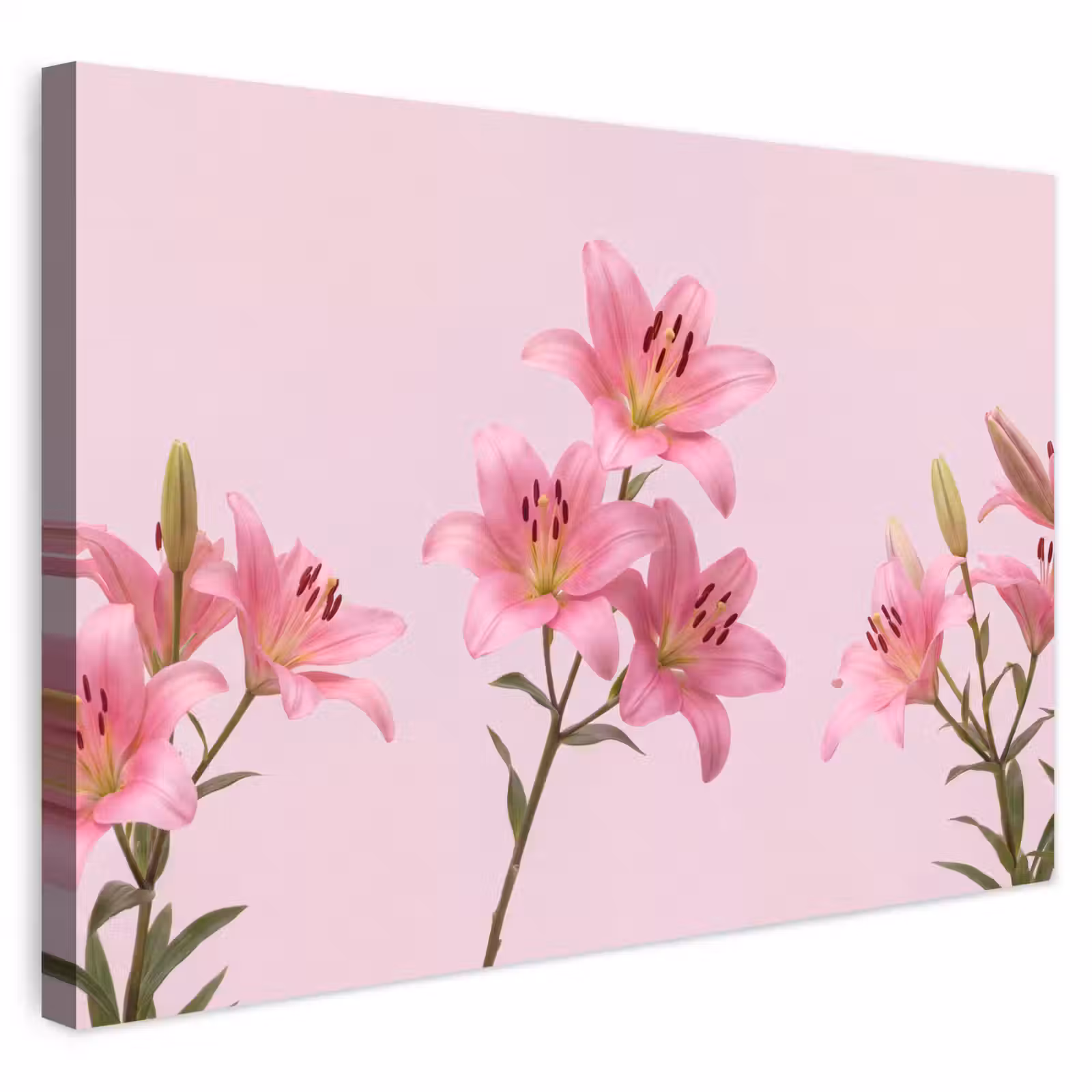 Buiten canvas - Bloemen - Zacht - Roze — 1