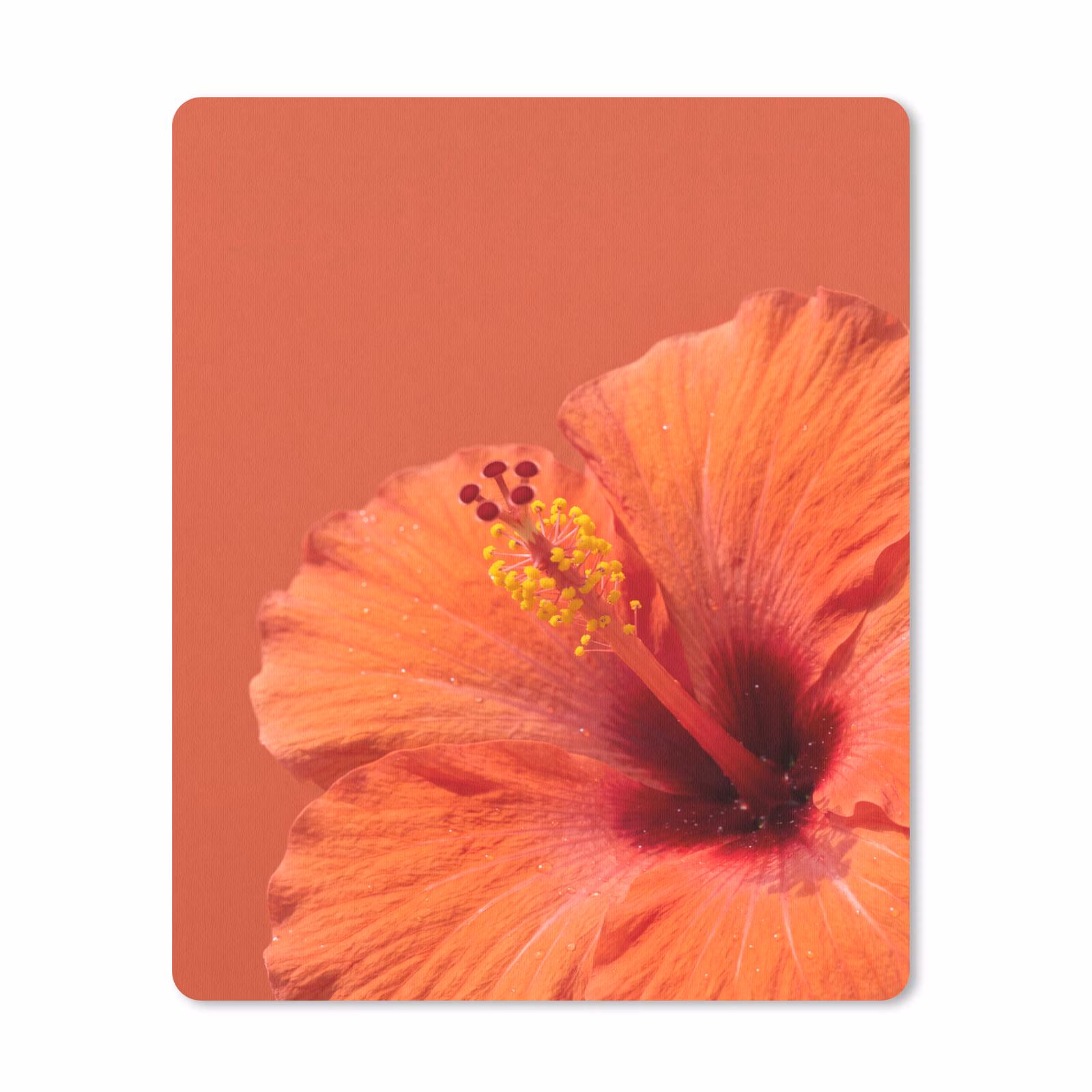 Muismat - Bloemen - Oranje - Natuur — 1