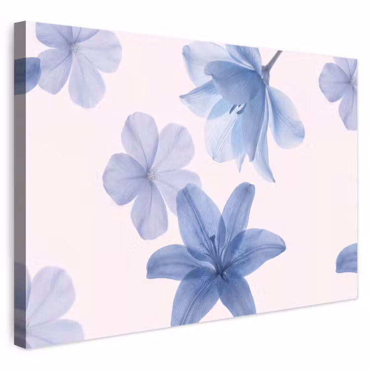 Buiten canvas - Bloemen - Transparant - Modern — 1