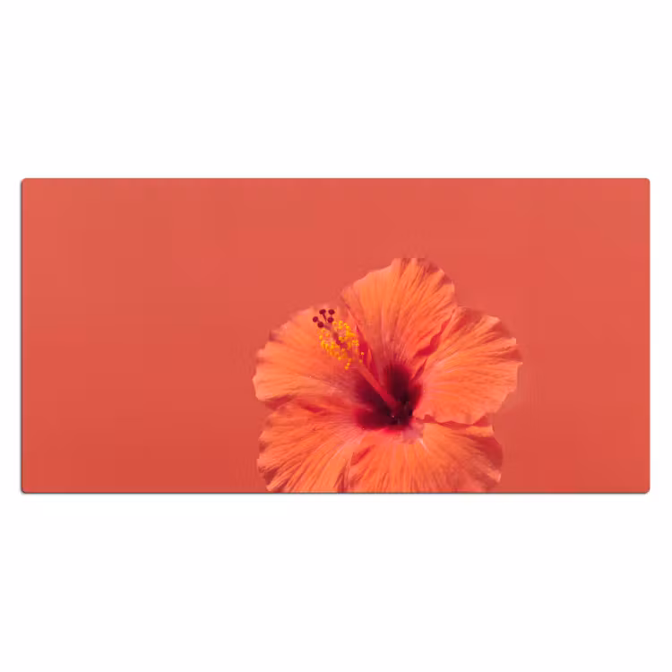 Bureau onderlegger - Bloemen - Oranje - Natuur — 2
