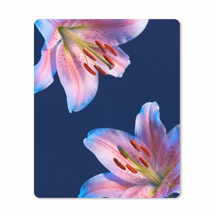 Muismat - Bloemen - Kleurrijk - Botanisch — 1