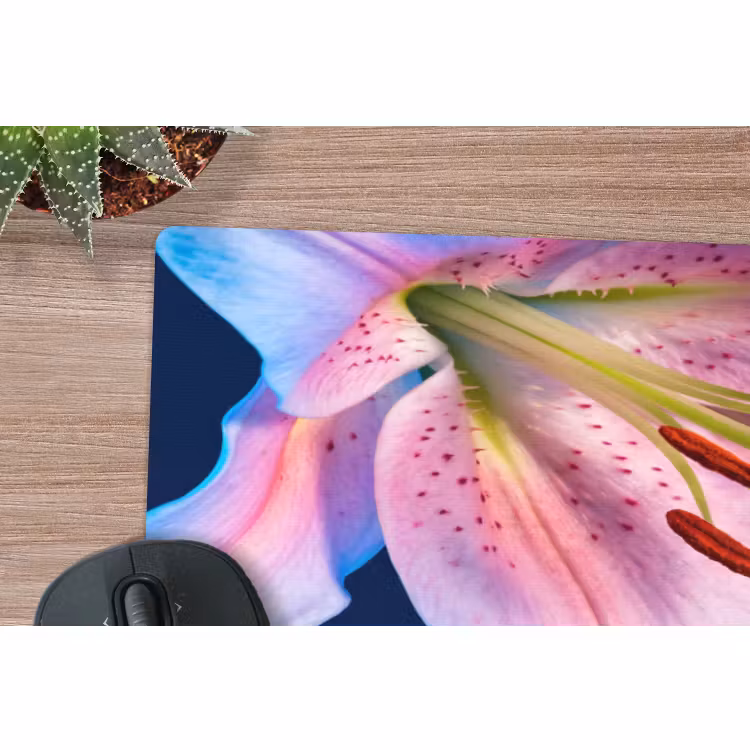Muismat - Bloemen - Kleurrijk - Botanisch — 5