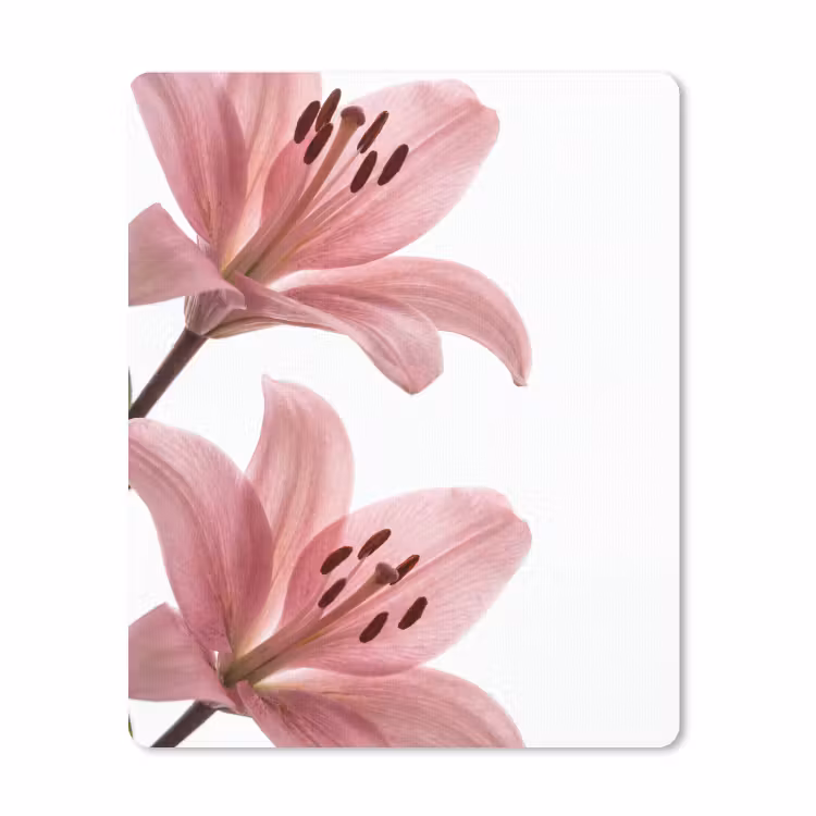 Muismat - Bloemen - Zacht - Modern — 1