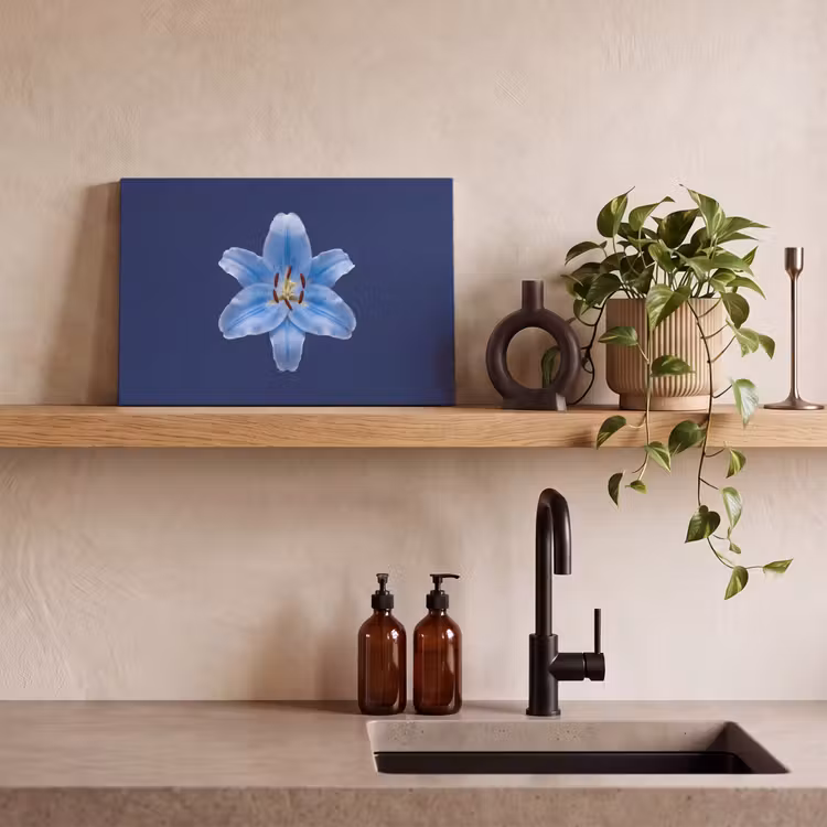 Canvas schilderij - Blauwe lelie - Bloemen — 2