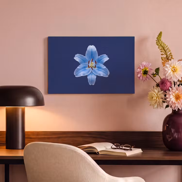 Canvas schilderij - Blauwe lelie - Bloemen — 3