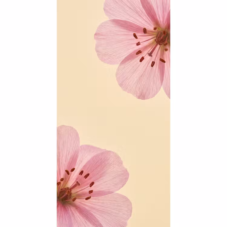 Behang - Bloemen - Flora - Pastel — 2