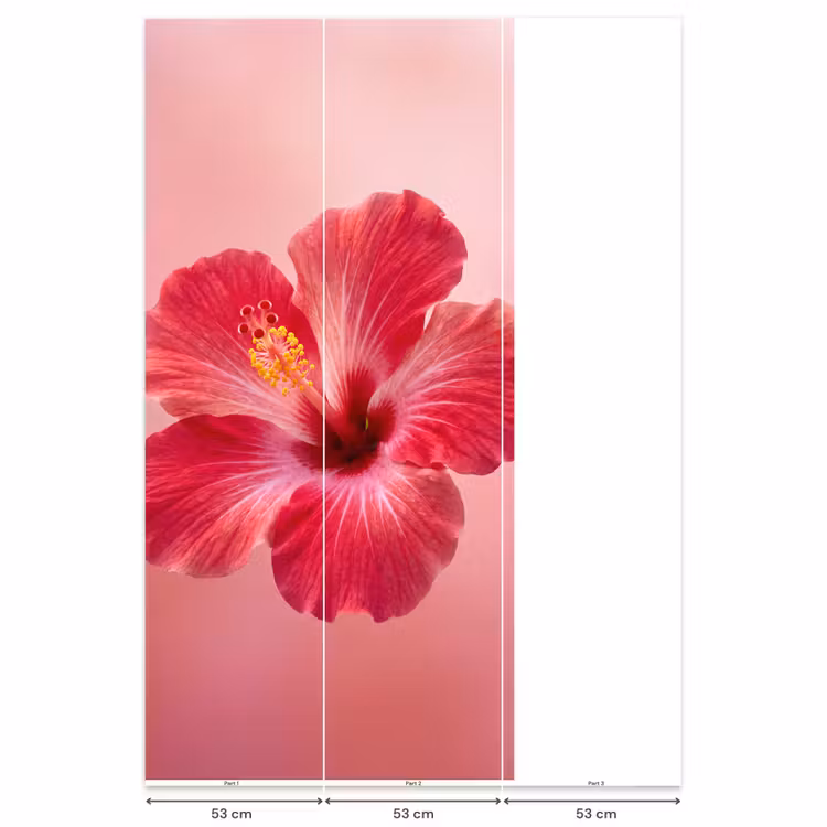 Behang - Rode bloem - Natuur — 6