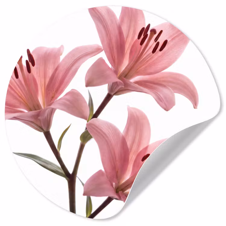 Behangcirkel - Bloemen - Zacht - Modern — 1