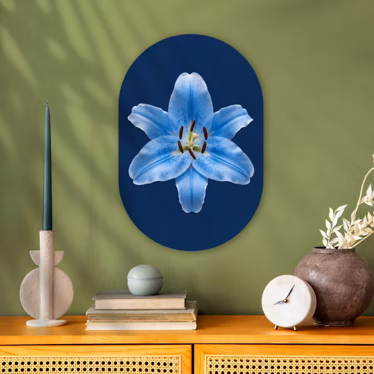 Muurovaal - Blauwe lelie - Bloemen — 2
