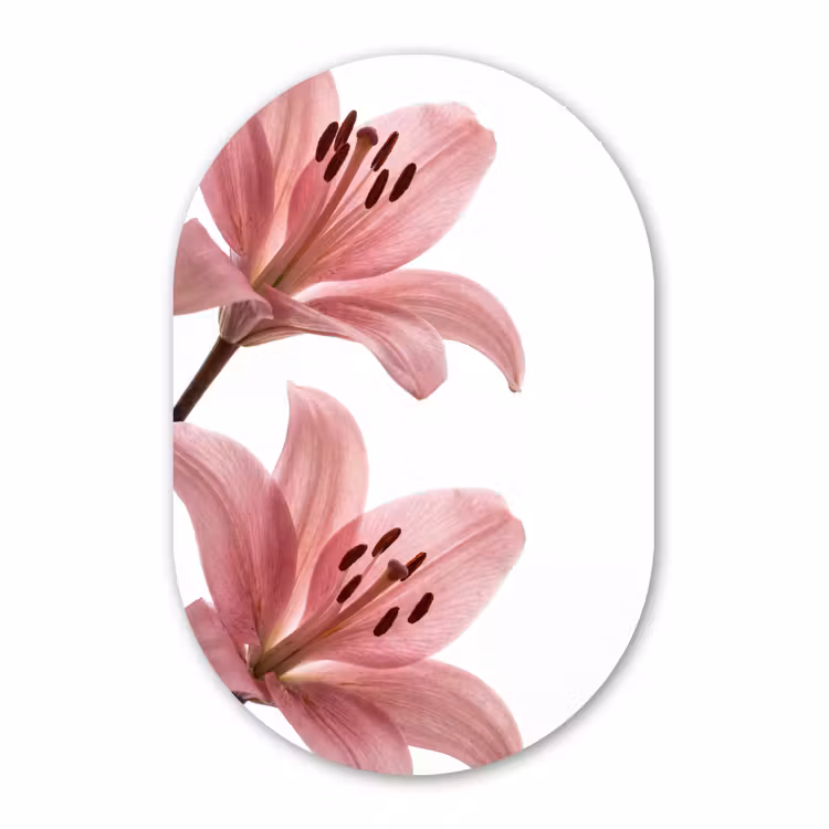 Muurovaal - Bloemen - Zacht - Modern — 3