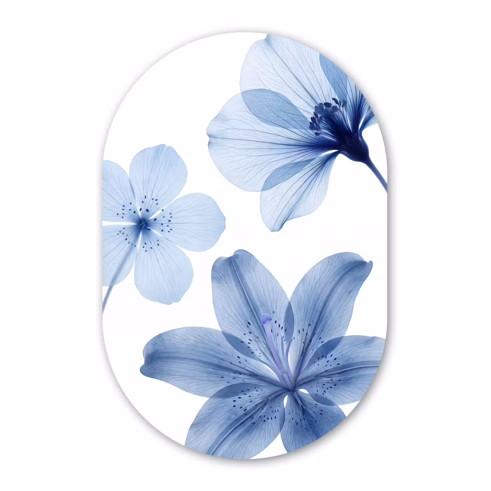 Muurovaal glas - Blauwe bloemen - Natuur — 1