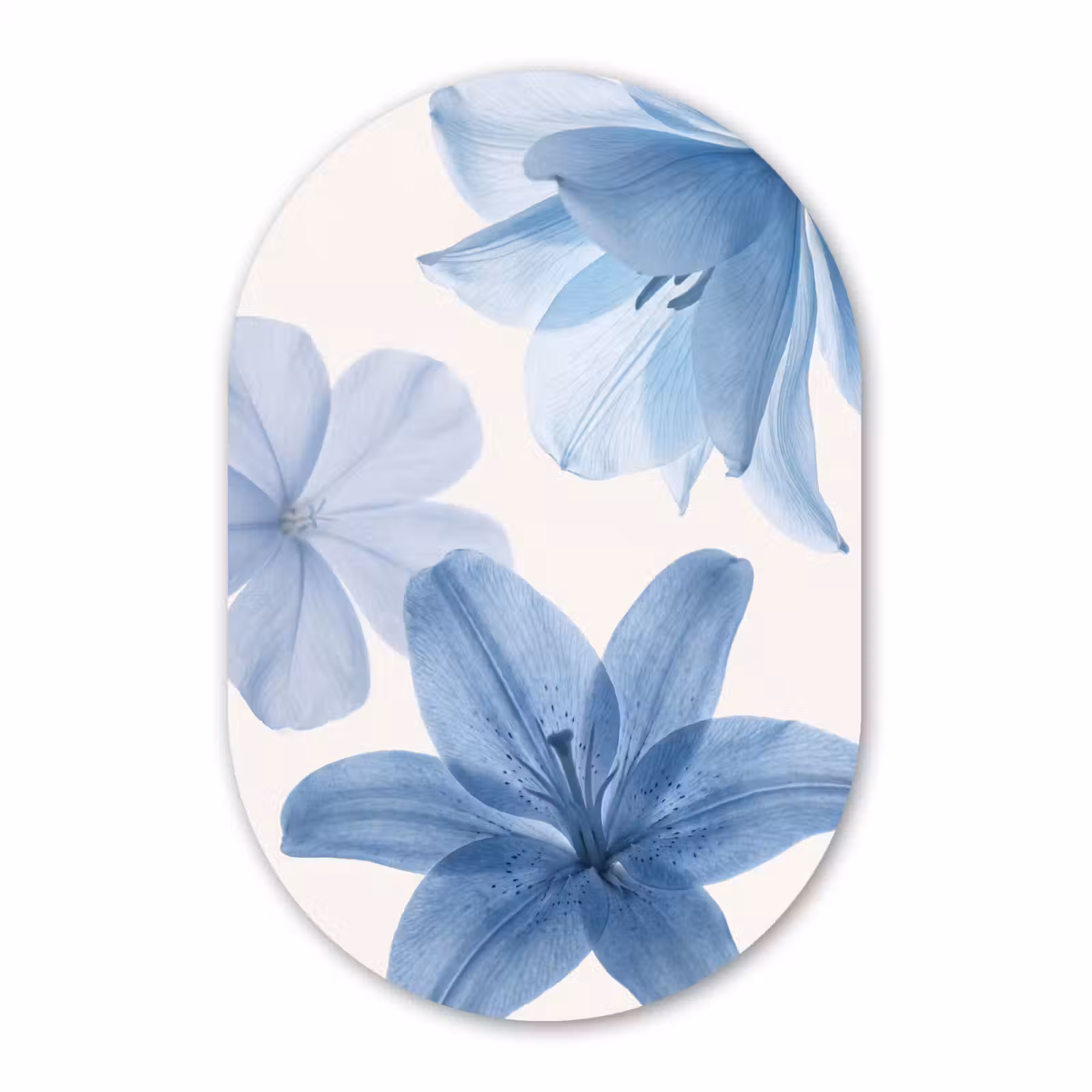 Muurovaal glas - Bloemen - Transparant - Modern — 1