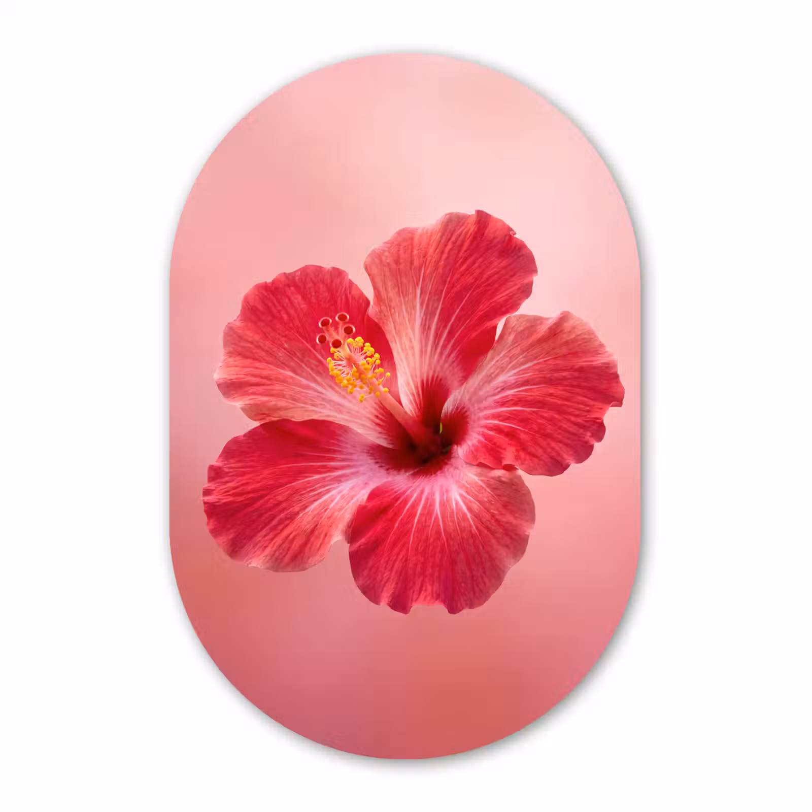 Muurovaal glas - Rode bloem - Natuur — 1