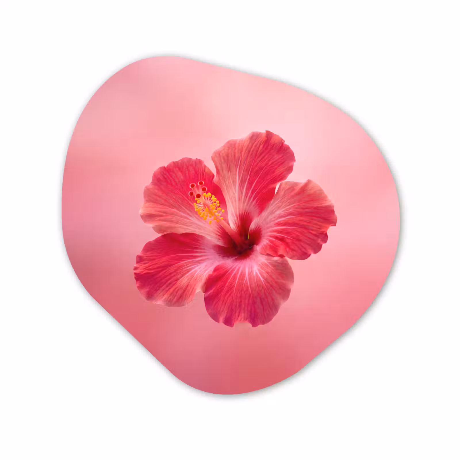 Organisch schilderij glas - Rode bloem - Natuur — 1