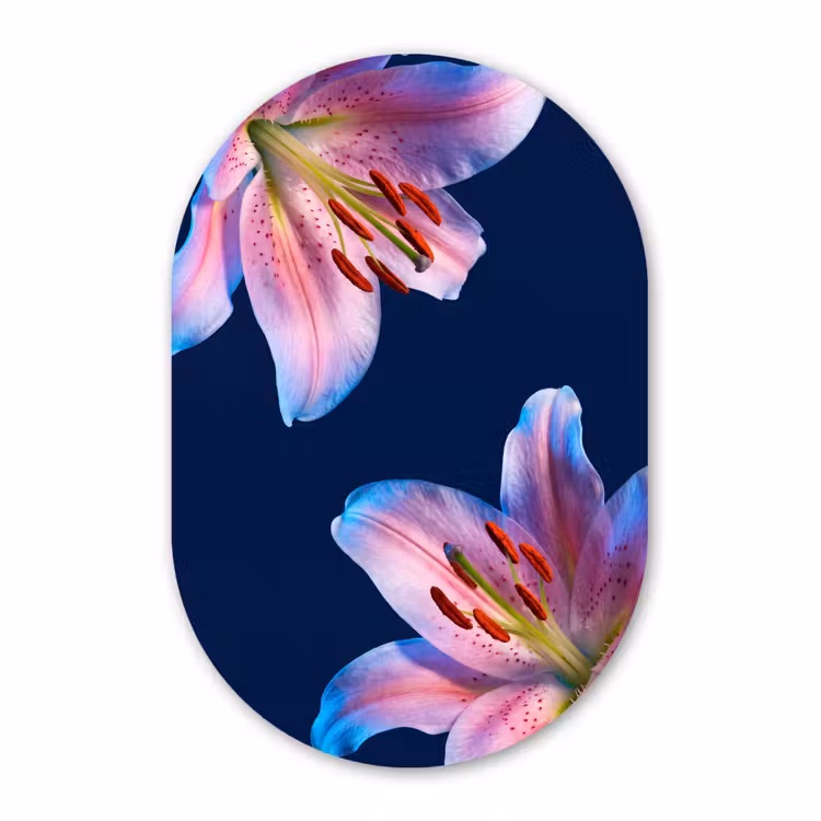Muurovaal glas - Bloemen - Kleurrijk - Botanisch — 1