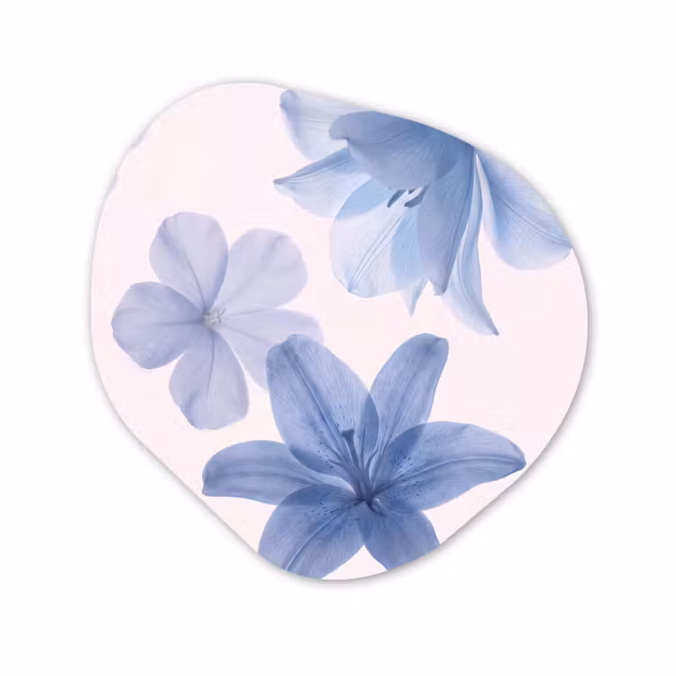 Organisch schilderij glas - Bloemen - Transparant - Modern — 1