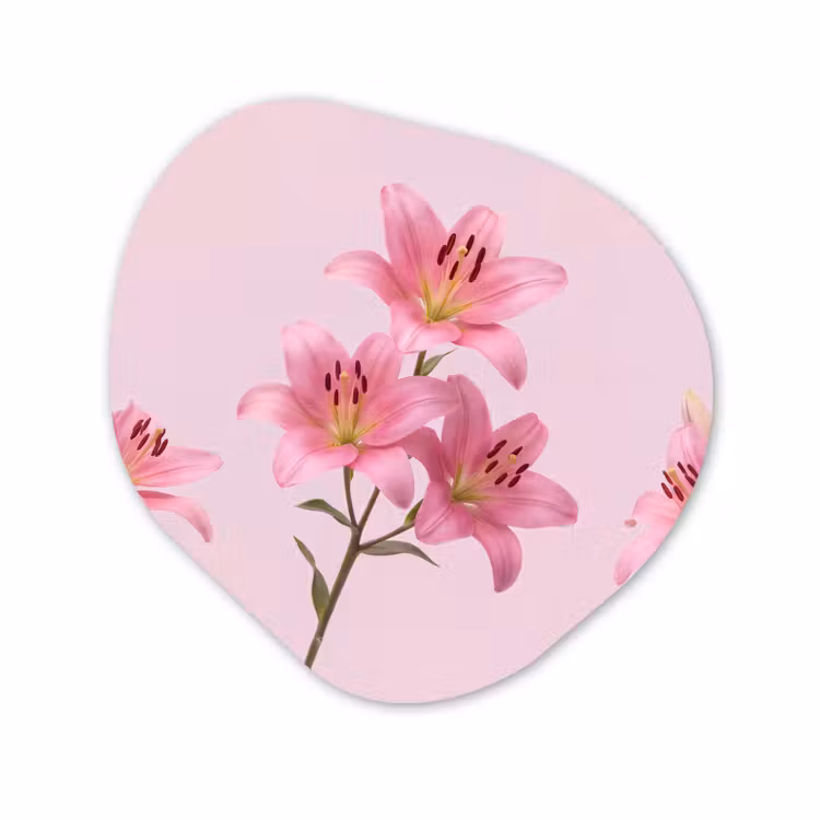 Organisch schilderij glas - Bloemen - Zacht - Roze — 1