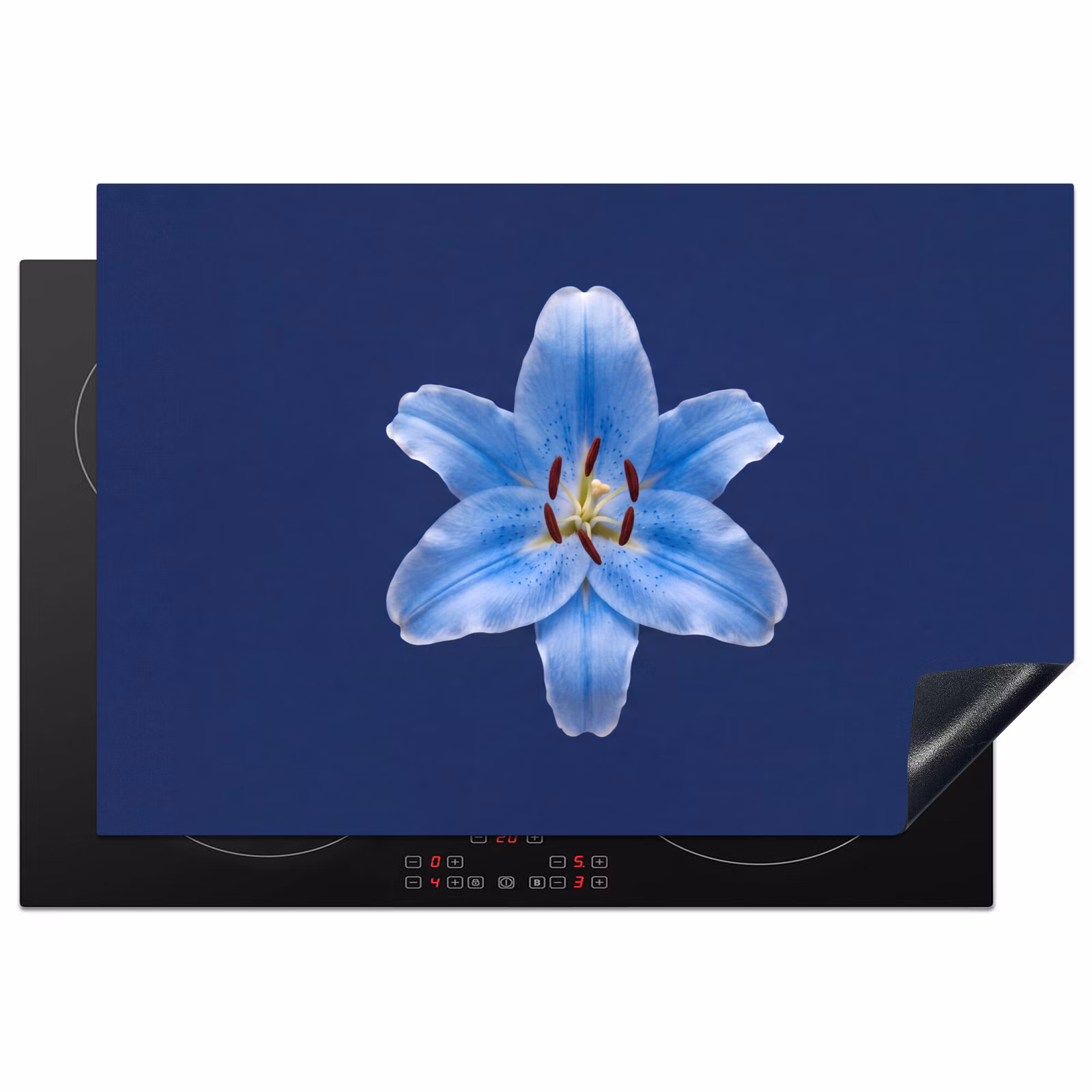 Inductiebeschermer - Blauwe lelie - Bloemen — 1