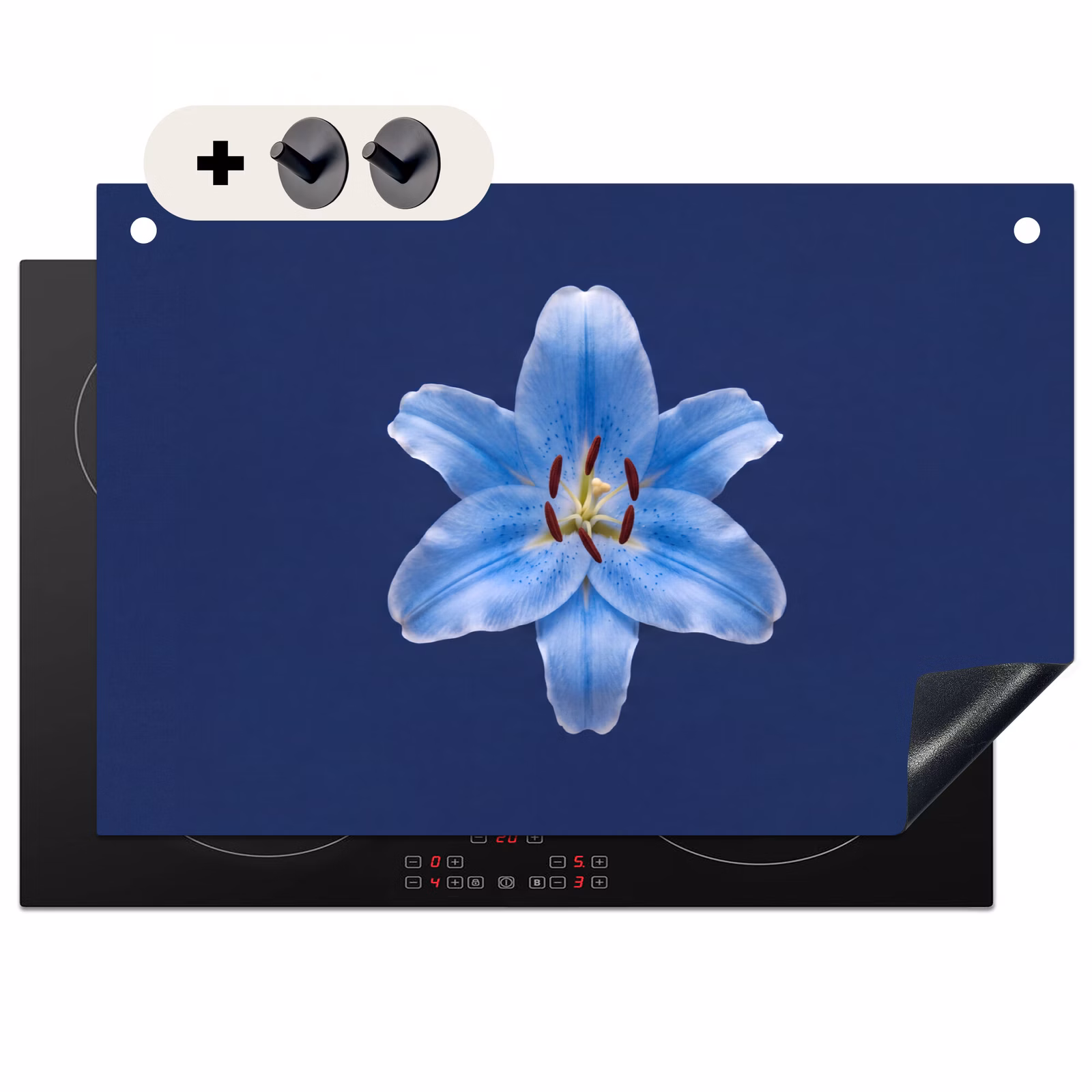 Inductiebeschermer & spatscherm (2in1) - Blauwe lelie - Bloemen — 1