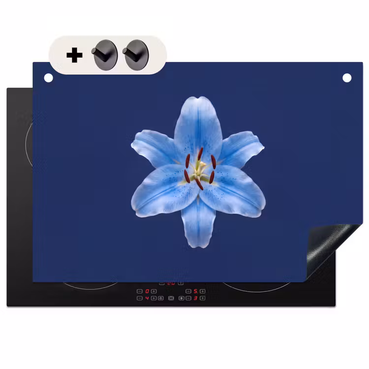 Inductiebeschermer & spatscherm (2in1) - Blauwe lelie - Bloemen — 1