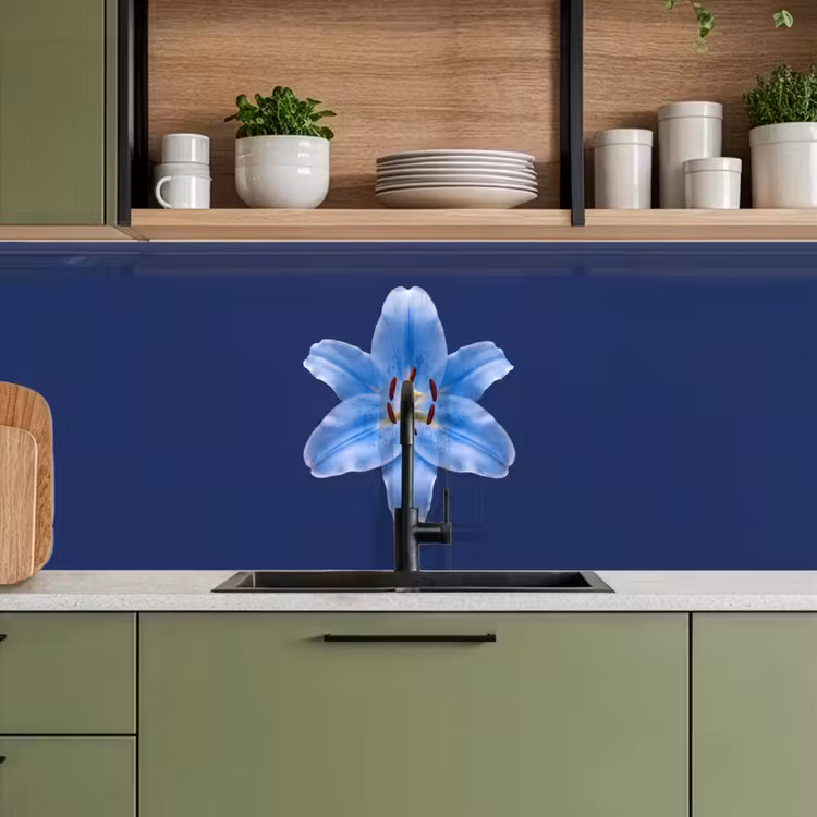Keuken achterwand - Blauwe lelie - Bloemen — 8