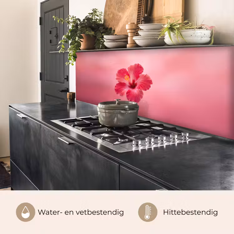 Keuken achterwand - Rode bloem - Natuur — 5