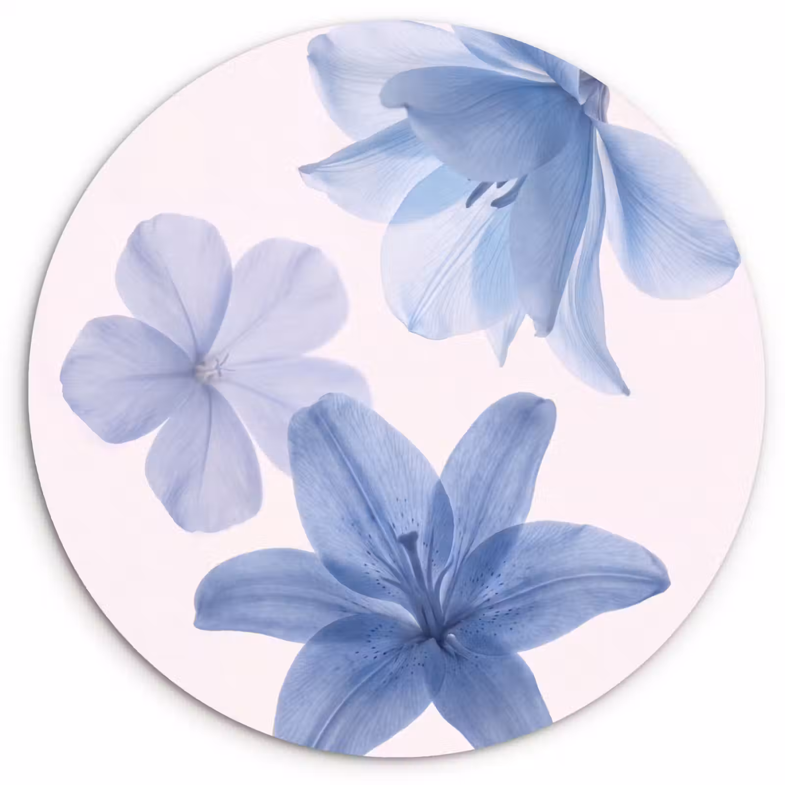Muurcirkel - Bloemen - Transparant - Modern — 1