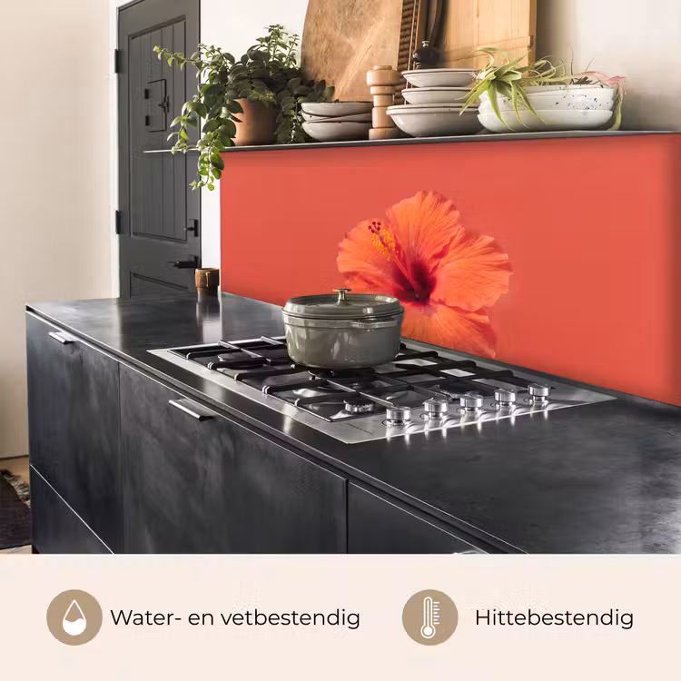 Keuken achterwand - Bloemen - Oranje - Natuur — 5