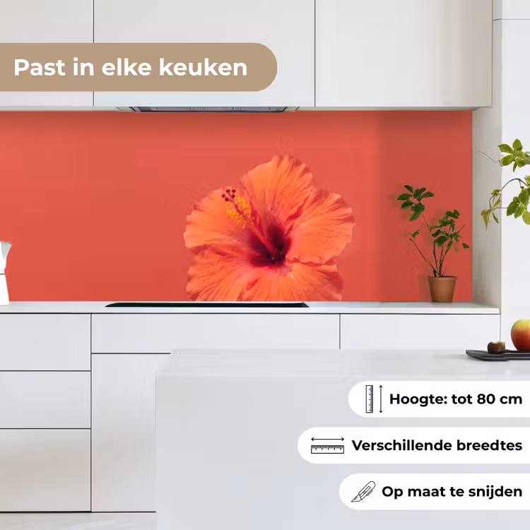 Keuken achterwand - Bloemen - Oranje - Natuur — 7