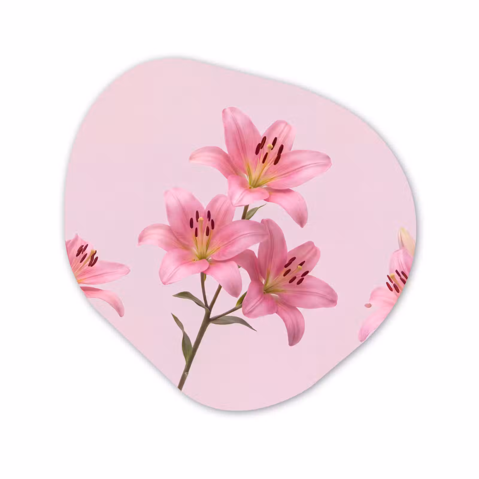 Organisch schilderij aluminium - Bloemen - Zacht - Roze — 1