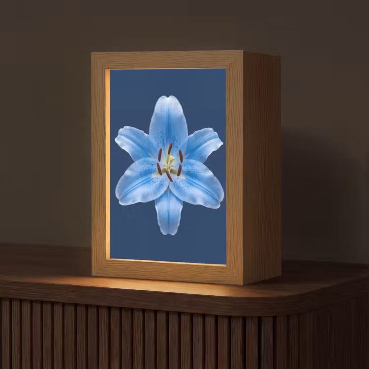 Gepersonaliseerd Lightbox - Blauwe lelie - Bloemen — 1