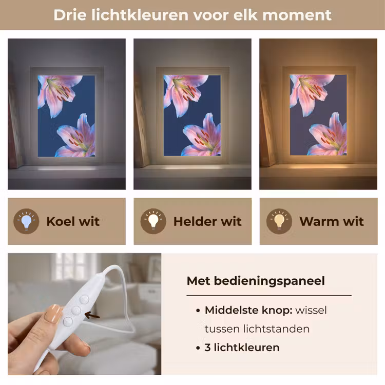 Gepersonaliseerd Lightbox - Bloemen - Kleurrijk - Botanisch — 6