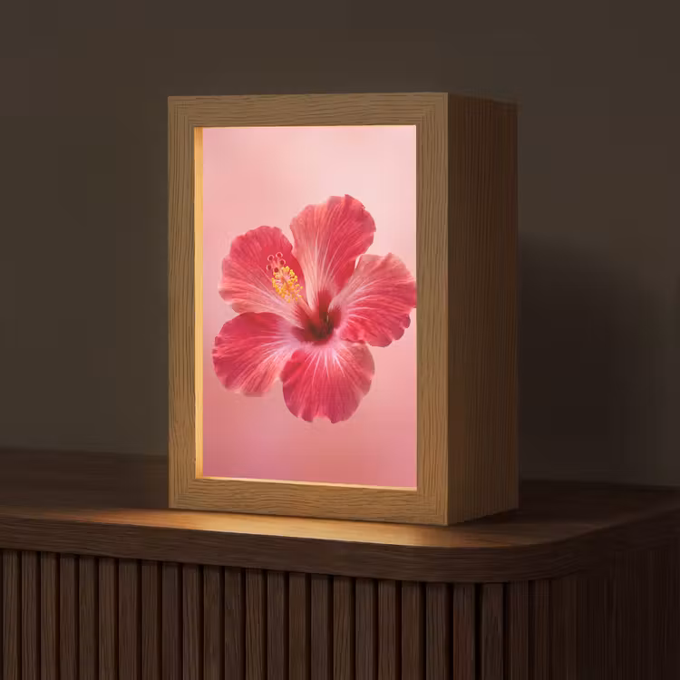 Gepersonaliseerd Lightbox - Rode bloem - Natuur — 1