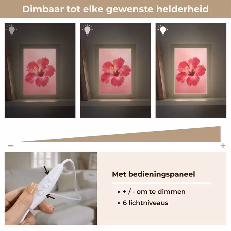 Gepersonaliseerd Lightbox - Rode bloem - Natuur — 8