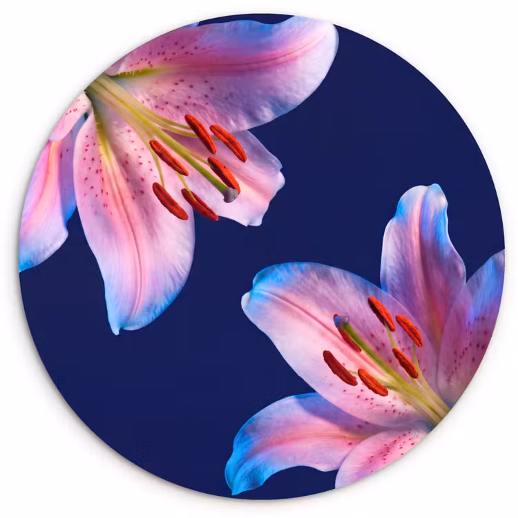 Muurcirkel - Bloemen - Kleurrijk - Botanisch — 1