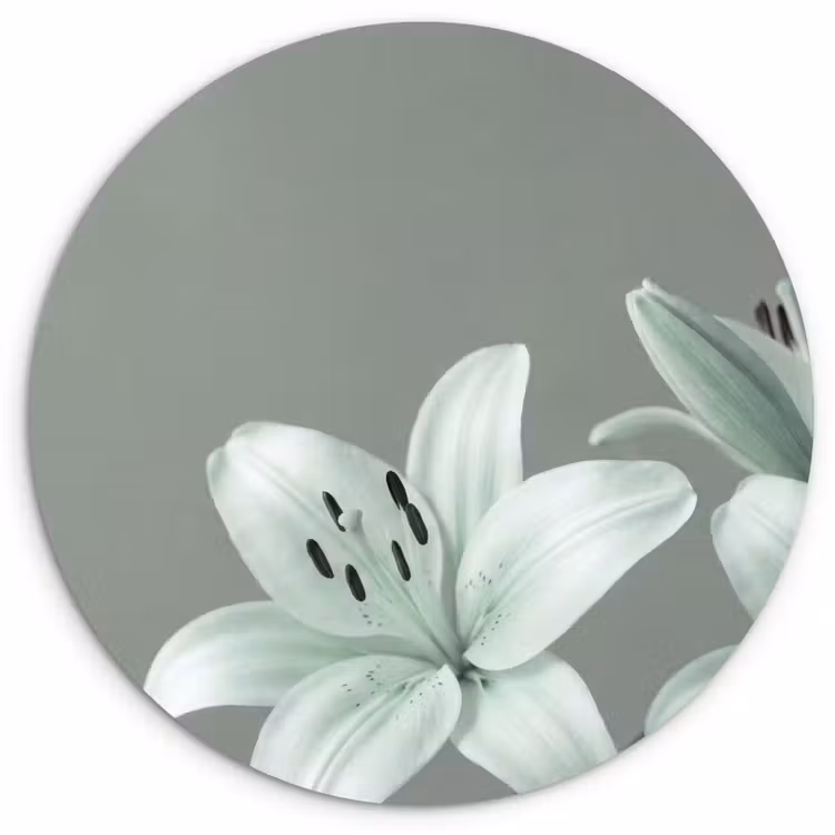 Muurcirkel - Bloemen - Natuur - Groen — 1