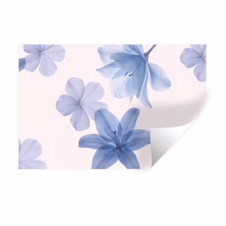 Muursticker - Bloemen - Transparant - Modern — 1