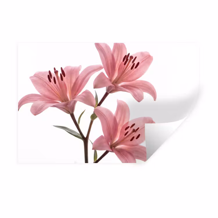 Muursticker - Bloemen - Zacht - Modern — 1