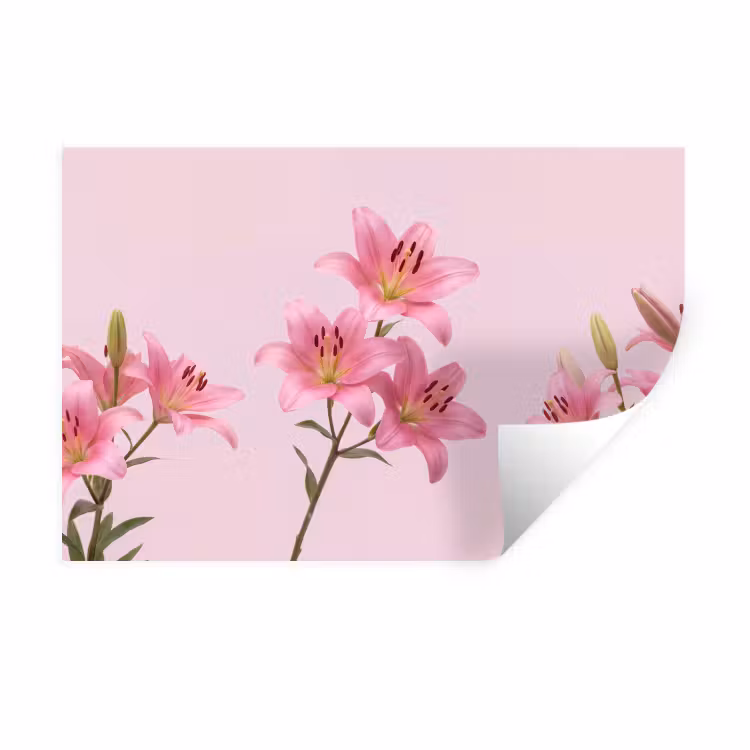 Muursticker - Bloemen - Zacht - Roze — 1