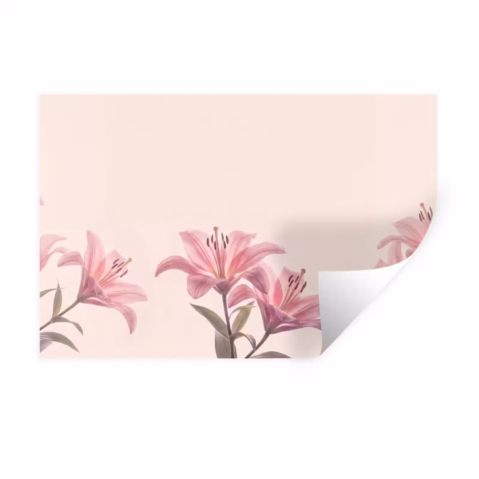 Muursticker - Bloemen - Delicaat - Flora — 1