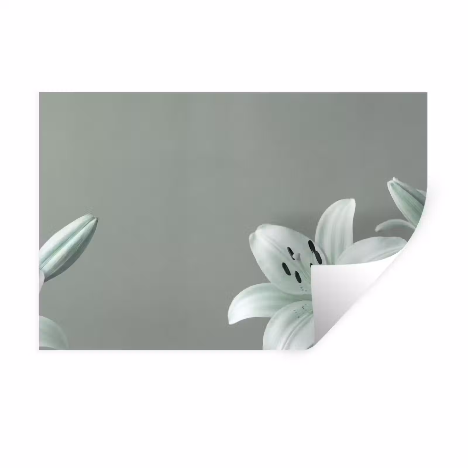Muursticker - Bloemen - Natuur - Groen — 1
