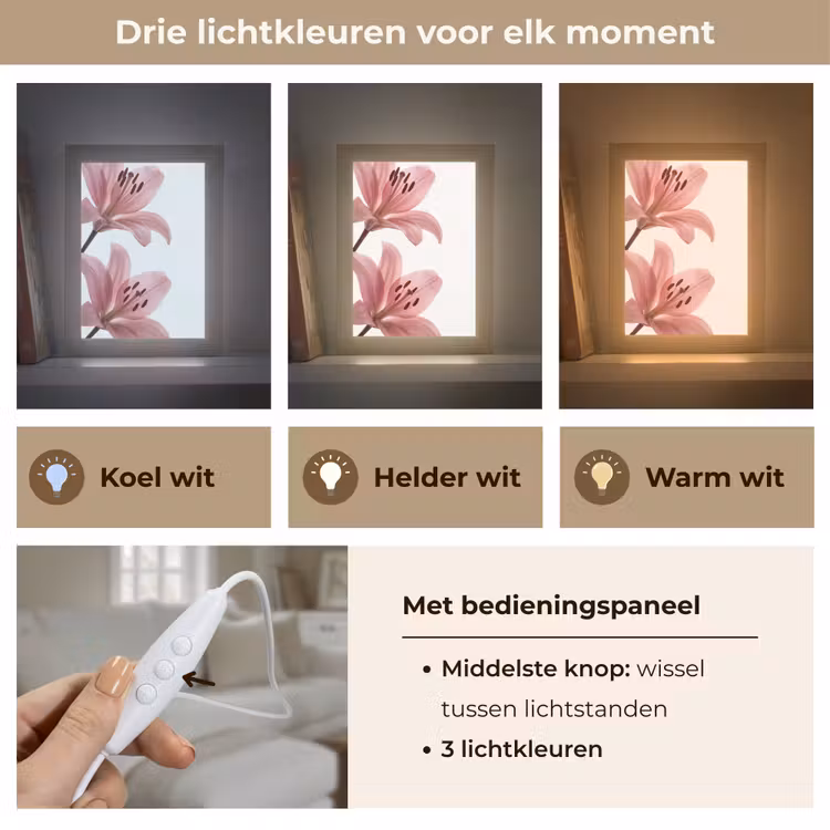 Gepersonaliseerd Lightbox - Bloemen - Zacht - Modern — 6