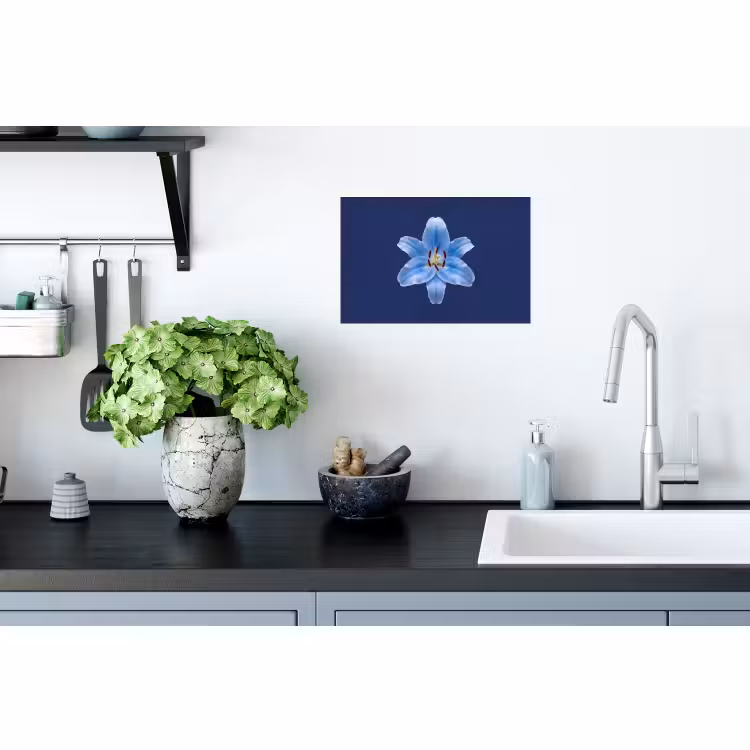 Muursticker - Blauwe lelie - Bloemen — 2