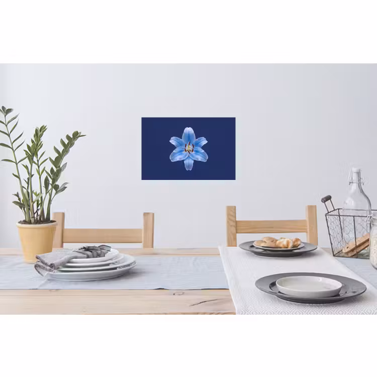 Muursticker - Blauwe lelie - Bloemen — 3