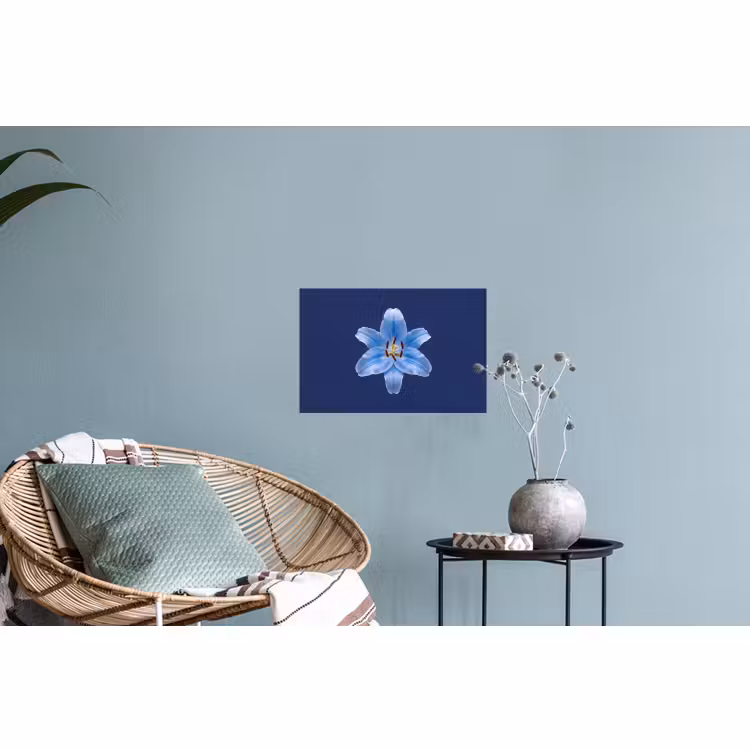 Muursticker - Blauwe lelie - Bloemen — 4