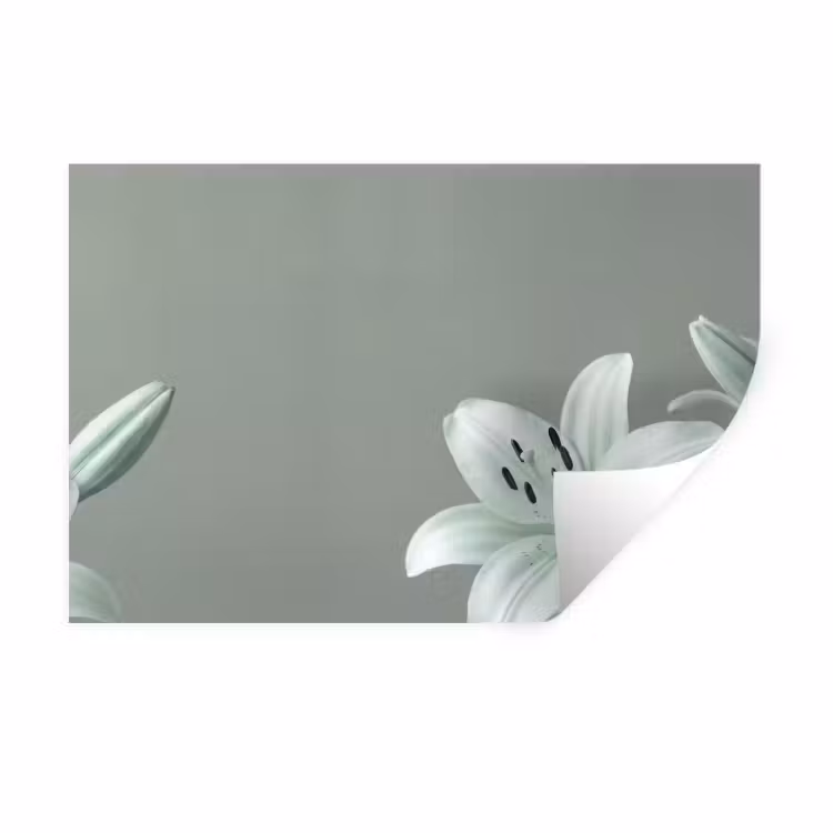 Muursticker - Bloemen - Natuur - Groen — 1