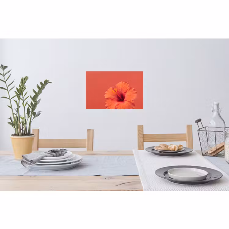 Muursticker - Bloemen - Oranje - Natuur — 3