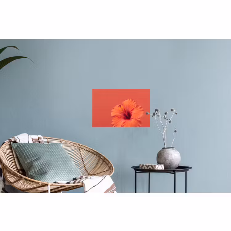 Muursticker - Bloemen - Oranje - Natuur — 4