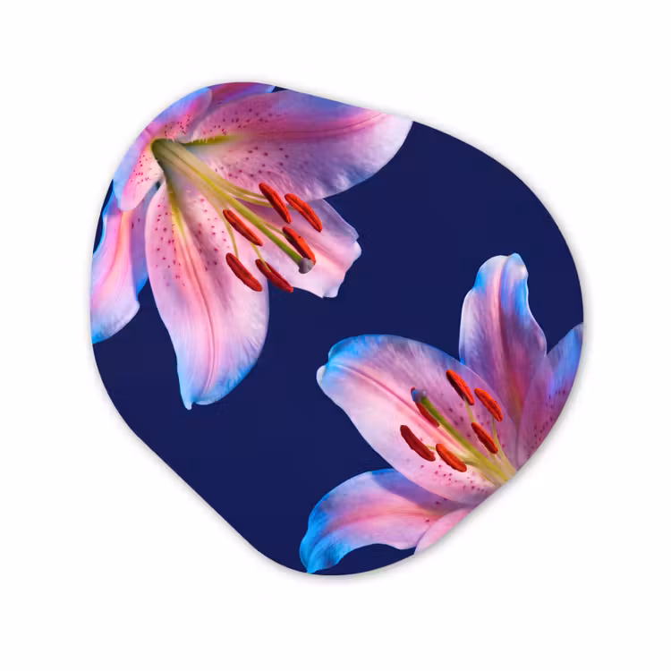 Organisch schilderij forex - Bloemen - Kleurrijk - Botanisch — 1